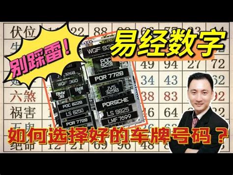 車牌吉凶易經|【易經車牌號碼】掌握易經智慧，解碼車牌號碼吉凶！